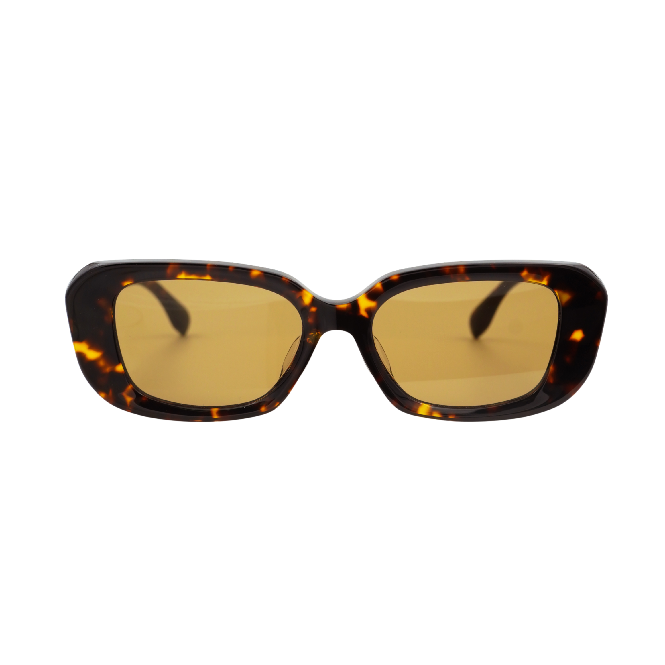 Dark Tortoise