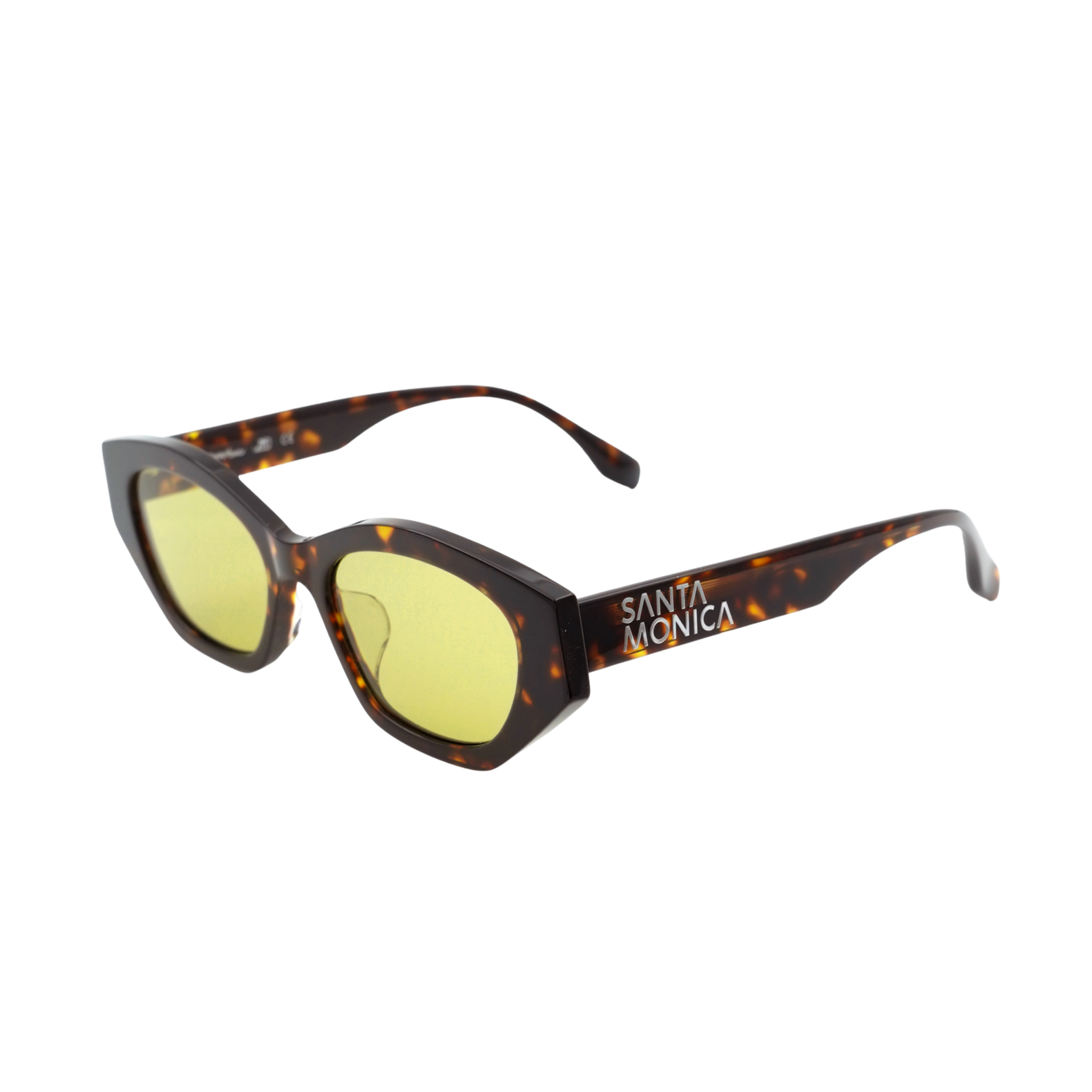 Dark Tortoise