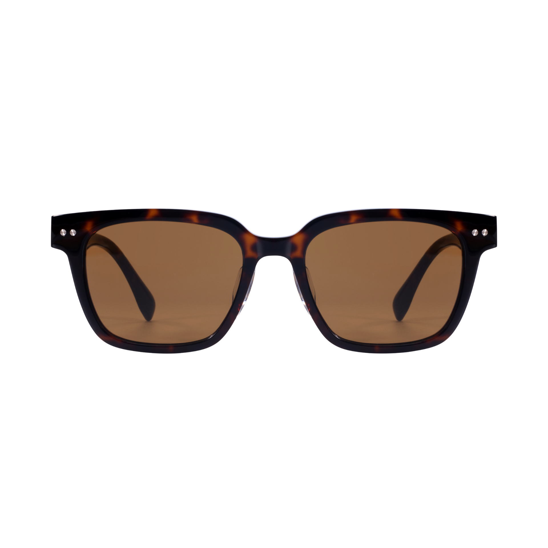 SM53034 – SANTA MONICA EYEWEAR