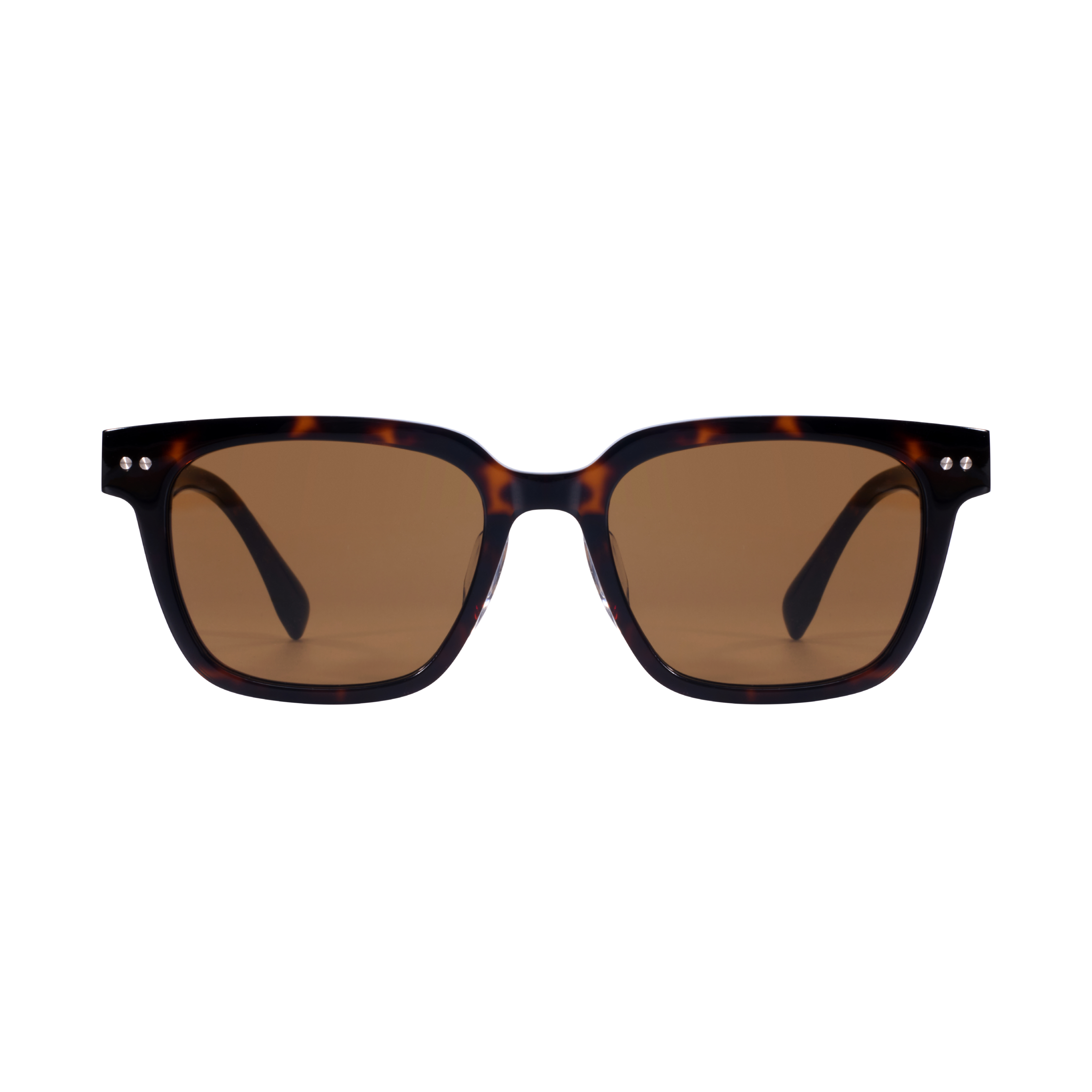 Dark Tortoise